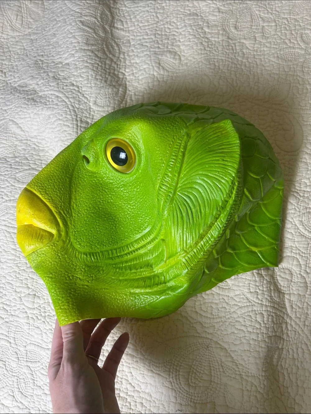 Green & Yellow Fish Face Mask for Men - Lightweight Reusable Mask